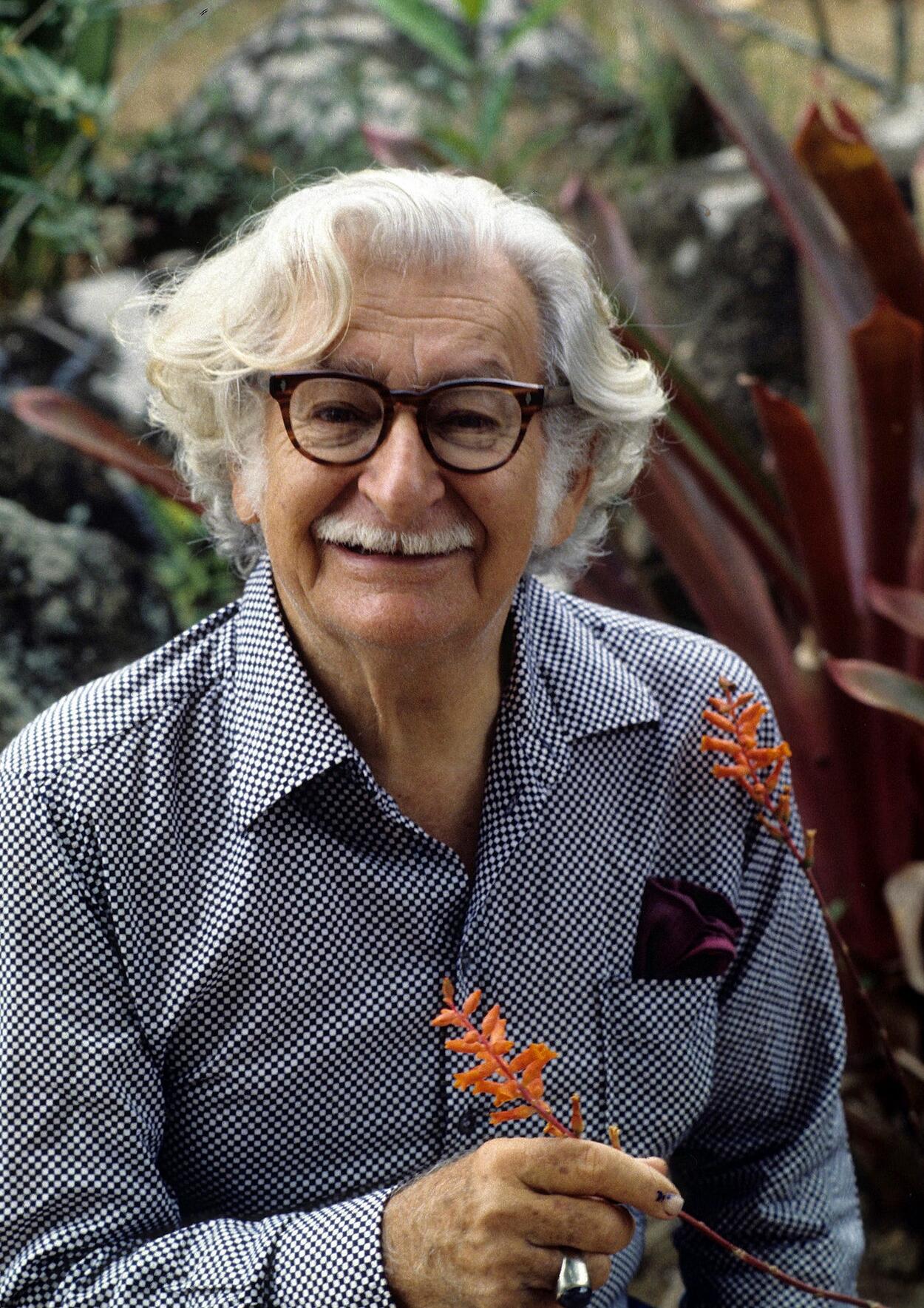 K�klere inen peyzajc� Roberto Burle Marx