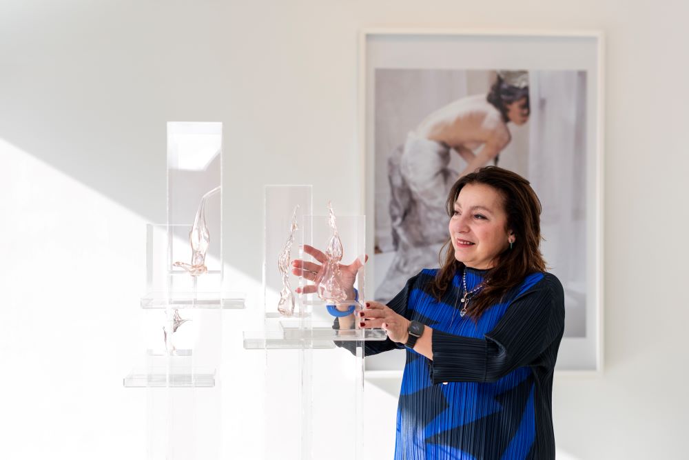 Ani �elik Arevyan ile �Bir D���n ��inde�