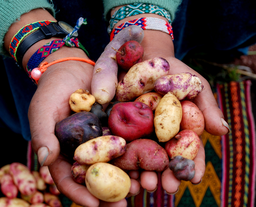 Tarihin akn deitiren sebze: Patates
