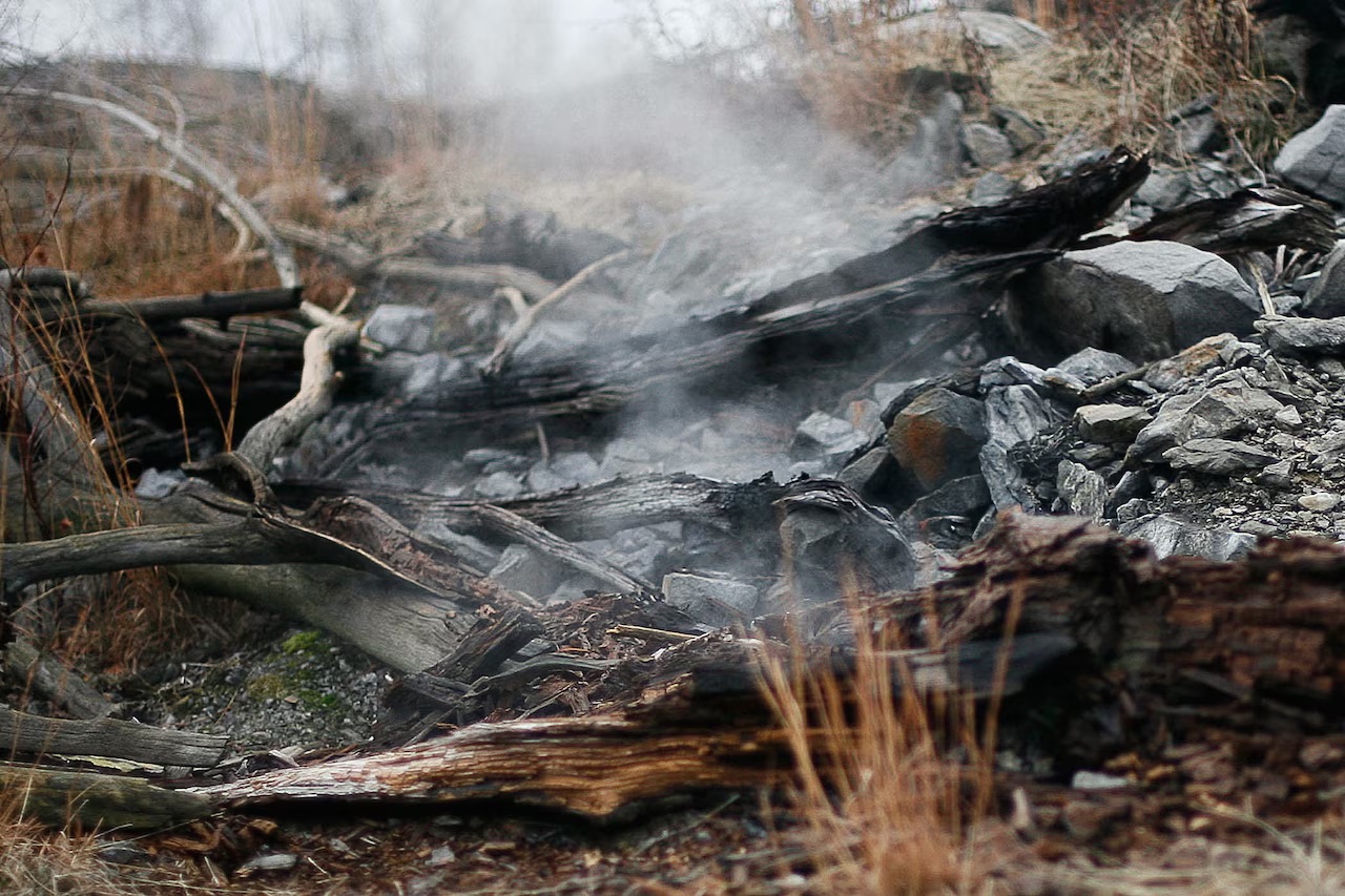 eytann merkez ss CENTRALIA