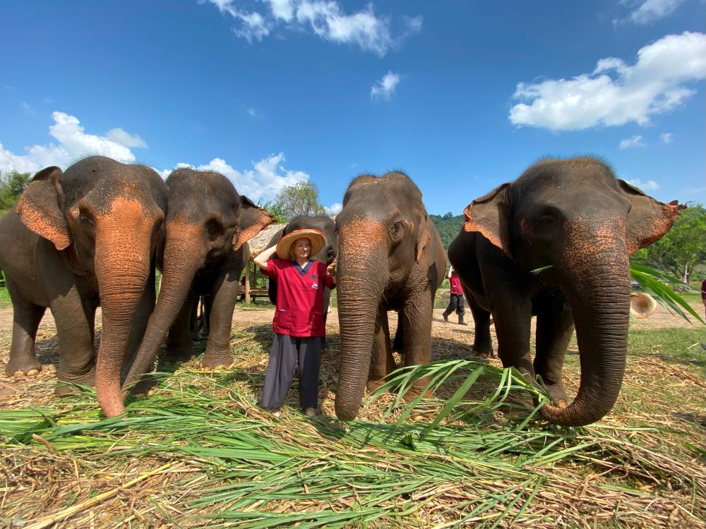 Tayland´n incileri: Chiang Mai  Chiang Rai